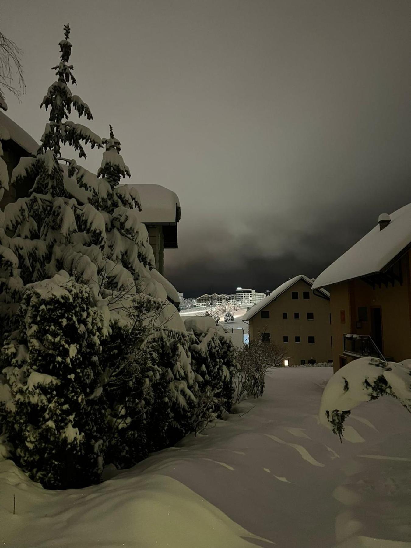 Apartmani Jasmina Zlatibor Luaran gambar