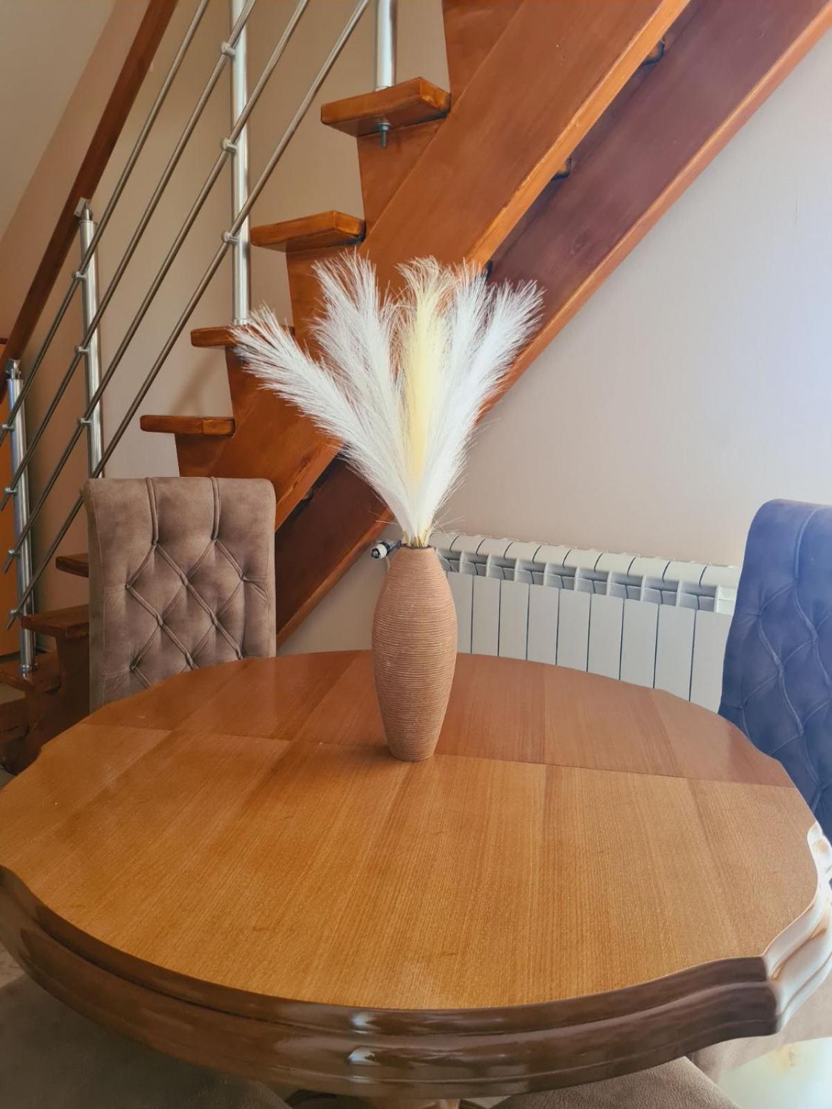 Apartmani Jasmina Zlatibor Luaran gambar