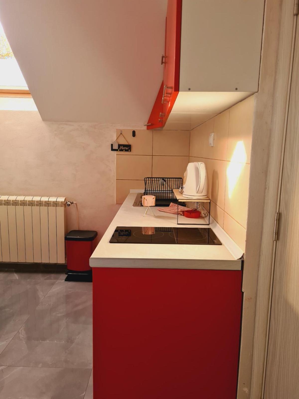 Apartmani Jasmina Zlatibor Luaran gambar